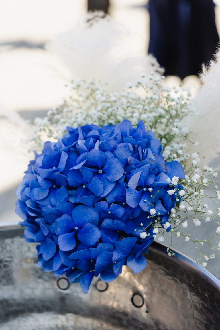 ΜΑΞΙΜΟΣ 03-06-24 33